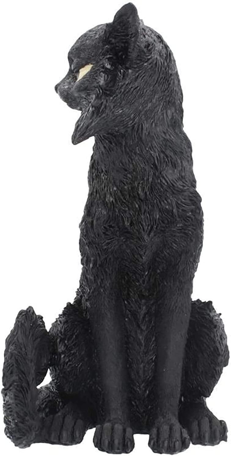 Nemesis Now Salem Witch Familiar Black Cat Figurine, 32.5cm, D4583N9