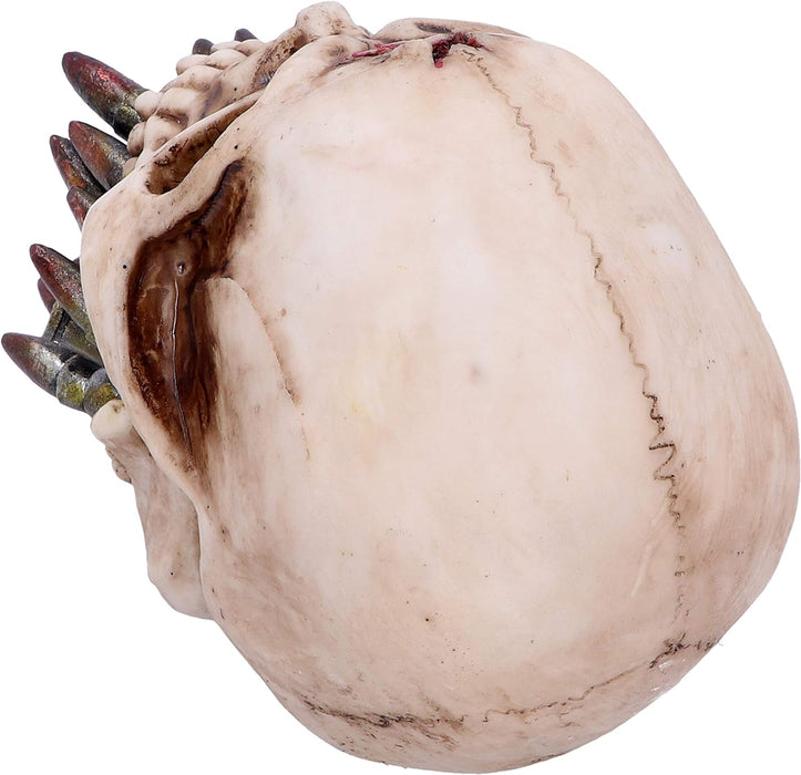 Nemesis Now Bite The Bullet 15cm, Taupe, One Size