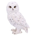Nemesis Now Snowy Watch Small Figurine 13.3cm, White