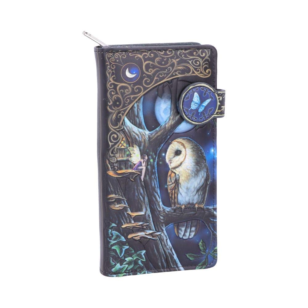 Nemesis Now B4864P9 Lisa Parker Fairy and Owl Purse 18.5cm, PU, Black