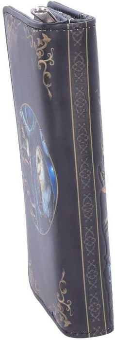 Nemesis Now B4864P9 Lisa Parker Fairy and Owl Purse 18.5cm, PU, Black