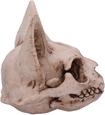 Nemesis Now Bastet's Secret Cat Skull Figurine Ornament, Natural Bone Colour, One Size