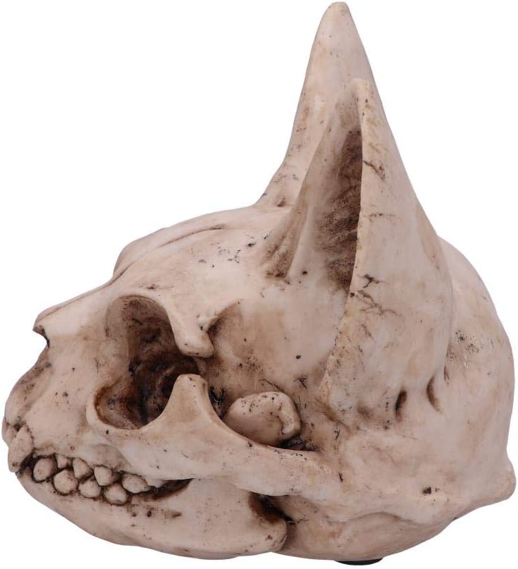 Nemesis Now Bastet's Secret Cat Skull Figurine Ornament, Natural Bone Colour, One Size