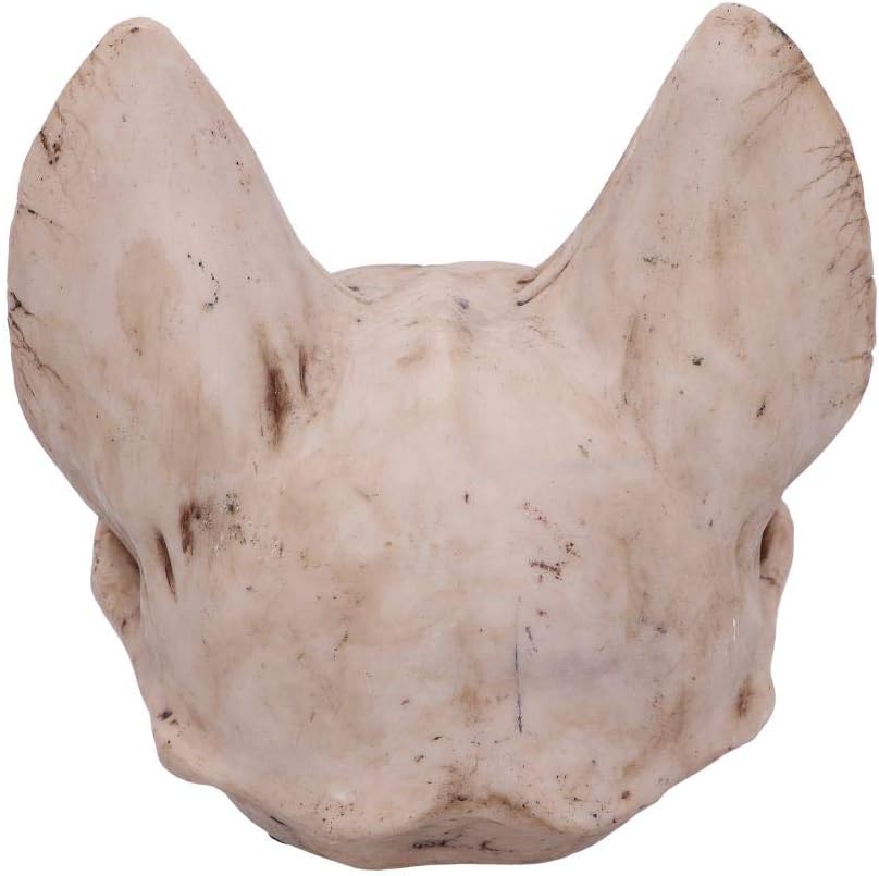 Nemesis Now Bastet's Secret Cat Skull Figurine Ornament, Natural Bone Colour, One Size