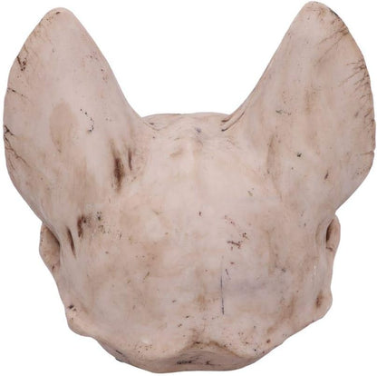 Nemesis Now Bastet's Secret Cat Skull Figurine Ornament, Natural Bone Colour, One Size