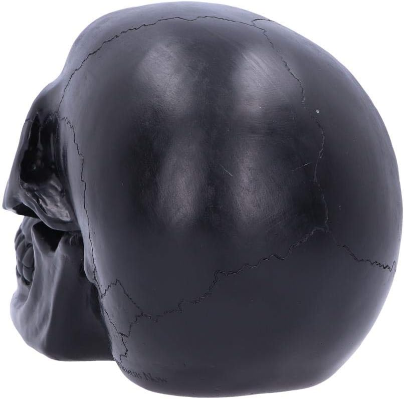 Nemesis Now Adorno de Calavera de Terror, polirresina, geoda Negra y roja, 17 cm
