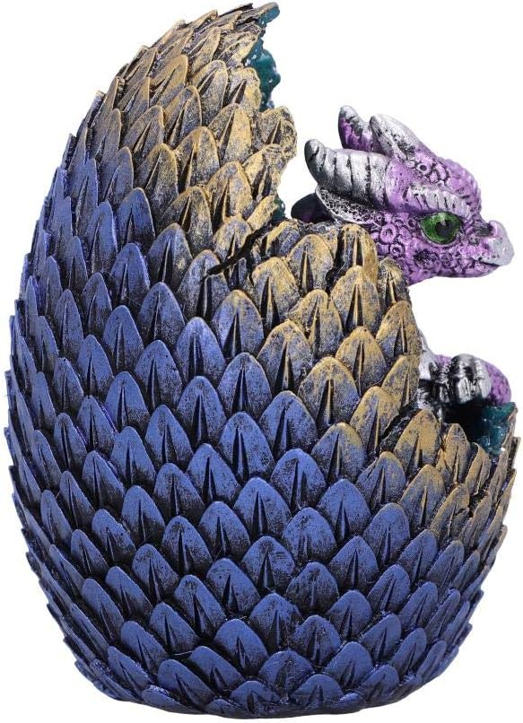 Nemesis Now Hatchling and Egg Figurine Purple Geode Home Glittering-Figura Decorativa de Huevo, polirresina, Morado, Talla única