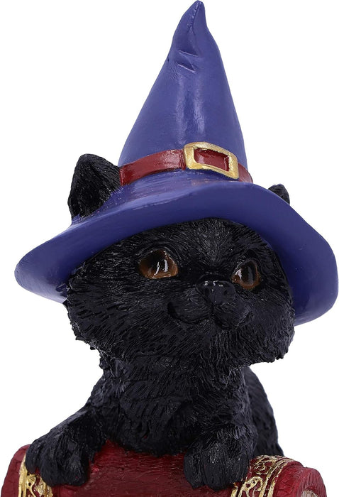 Nemesis Now Hocus Small Witches Familiar Black Cat and Spellbook Figurine, Red, 12.7cm U5231S0