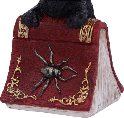 Nemesis Now Hocus Small Witches Familiar Black Cat and Spellbook Figurine, Red, 12.7cm U5231S0