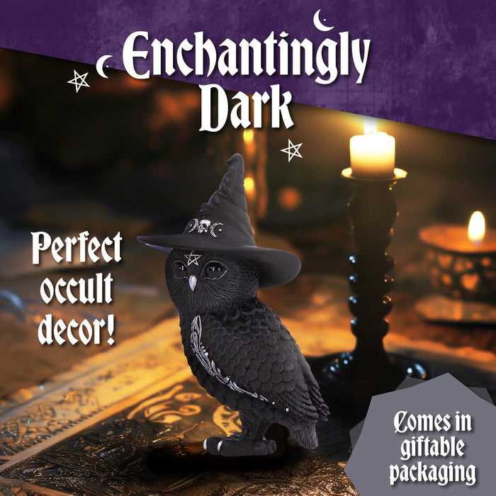 Nemesis Now Cult Cuties Owlocen beeldje 13,5 cm, hars, zwart, klein uilbeeldje, eng schattig betoverend uilbeeldje, heksenuil beeldje, gegoten in de fijnste hars, vakkundig handgeschilderd