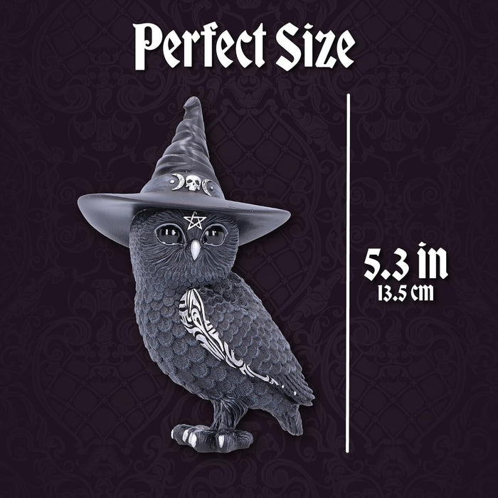 Nemesis Now Cult Cuties Owlocen beeldje 13,5 cm, hars, zwart, klein uilbeeldje, eng schattig betoverend uilbeeldje, heksenuil beeldje, gegoten in de fijnste hars, vakkundig handgeschilderd
