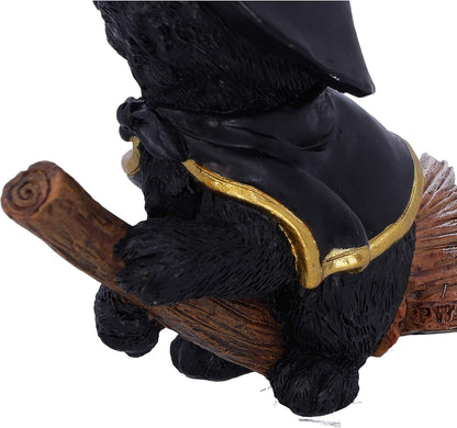 Nemesis Now Tabitha Small Witches Familiar Black Cat and Broomstick Figurine, 11cm