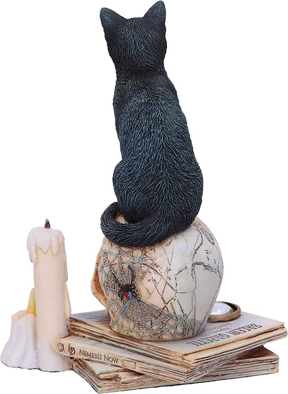 Nemesis Now Officially Licensed Lisa Parker Spirits of Salem Figurine, Black, 16.5cm