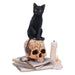 Nemesis Now Officially Licensed Lisa Parker Spirits of Salem Figurine, Black, 16.5cm