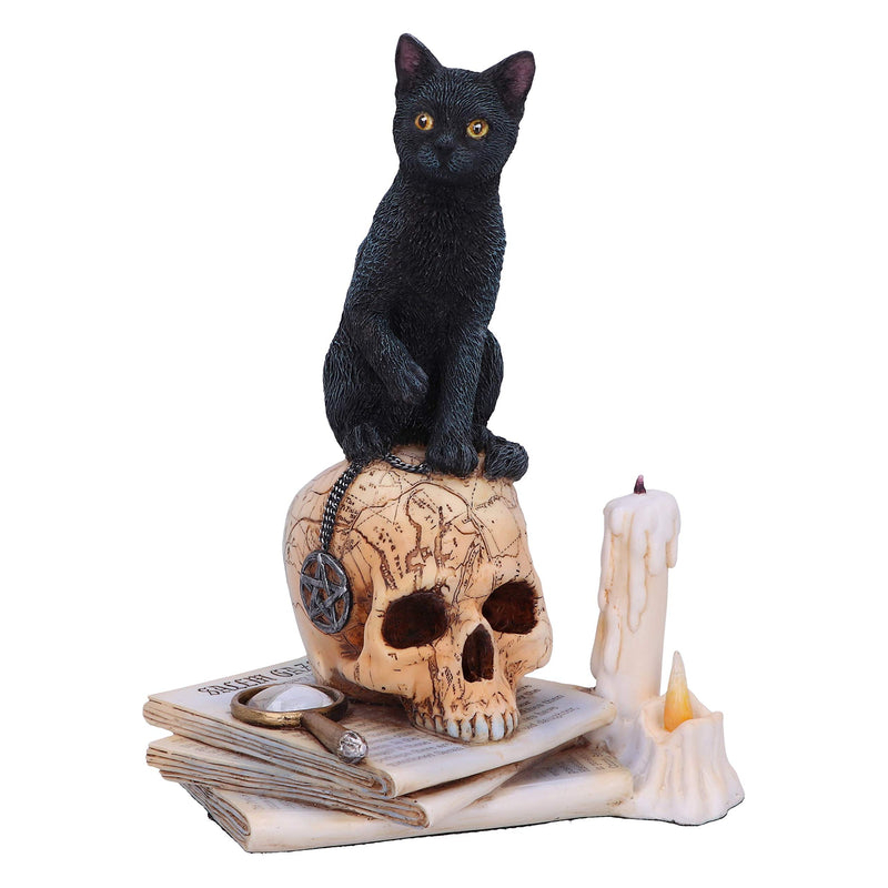 Nemesis Now Officially Licensed Lisa Parker Spirits of Salem Figurine, Black, 16.5cm