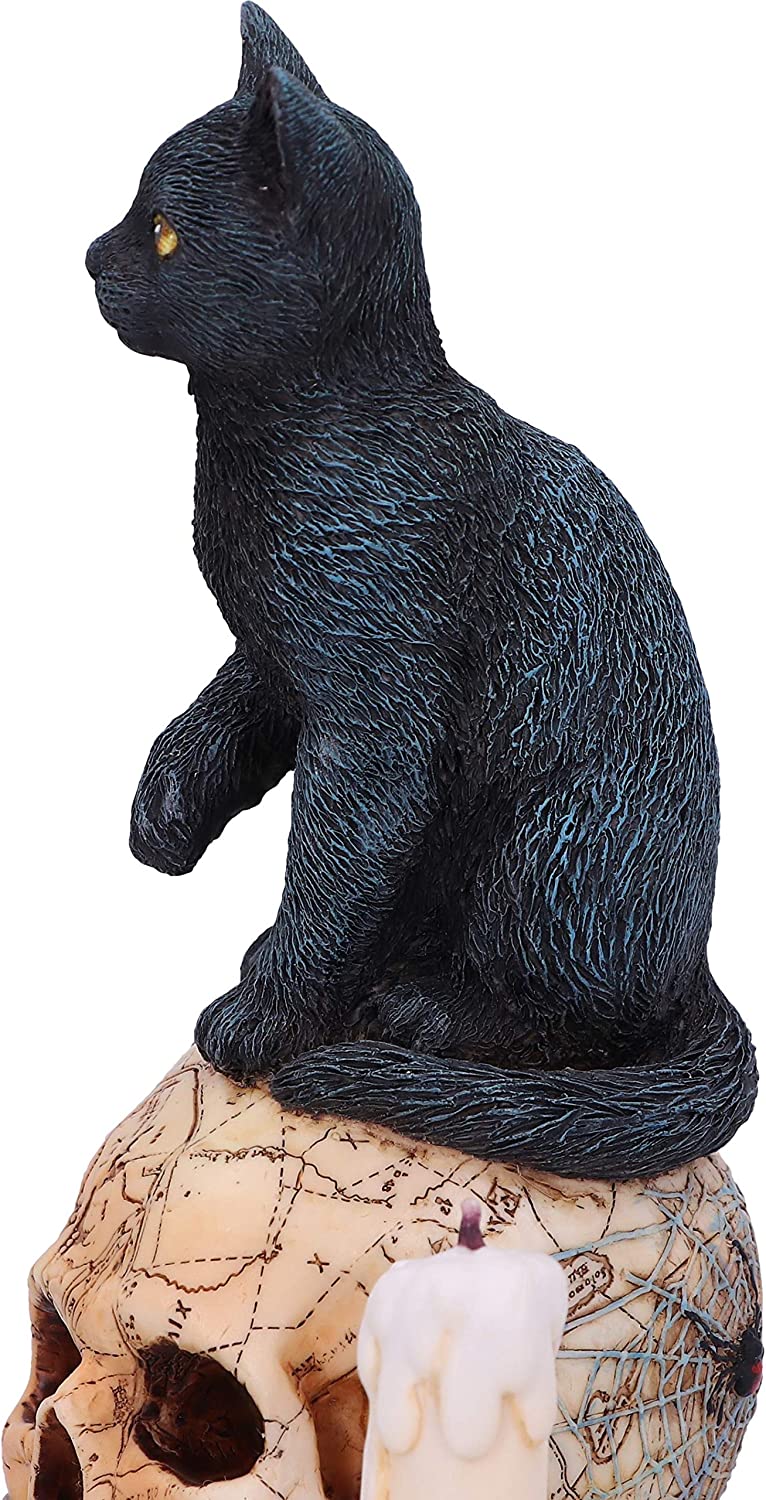 Nemesis Now Officially Licensed Lisa Parker Spirits of Salem Figurine, Black, 16.5cm