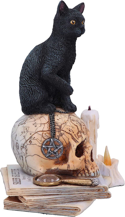 Nemesis Now Officially Licensed Lisa Parker Spirits of Salem Figurine, Black, 16.5cm