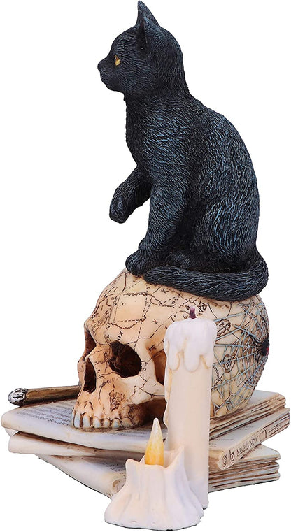 Nemesis Now Officially Licensed Lisa Parker Spirits of Salem Figurine, Black, 16.5cm