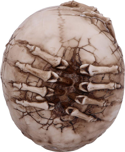Nemesis Now Adorno Licencia Oficial de James Ryman, Resina, Calavera esquelet, 20 cm