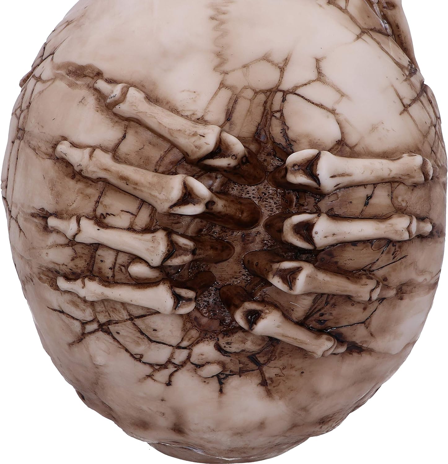 Nemesis Now Adorno Licencia Oficial de James Ryman, Resina, Calavera esquelet, 20 cm