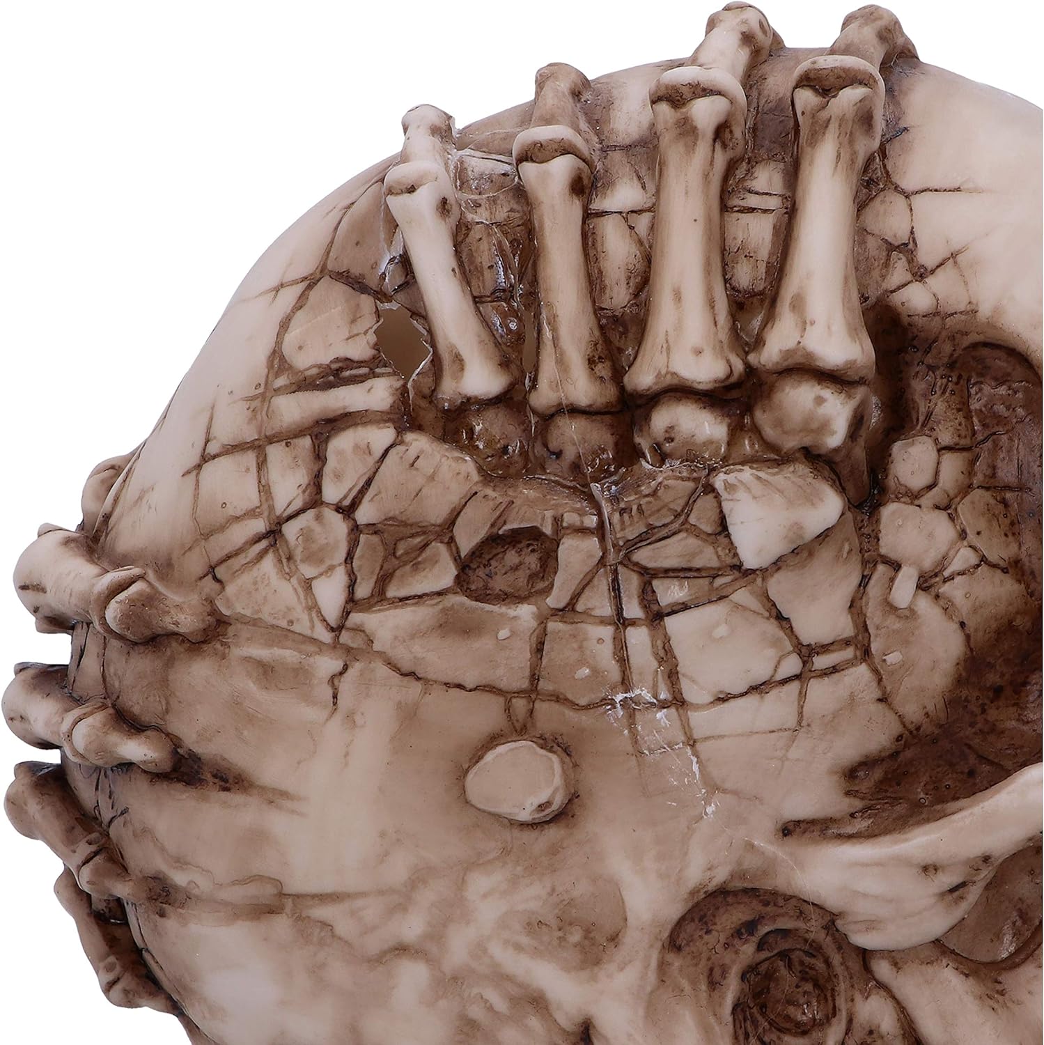 Nemesis Now Adorno Licencia Oficial de James Ryman, Resina, Calavera esquelet, 20 cm