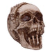 Nemesis Now Adorno Licencia Oficial de James Ryman, Resina, Calavera esquelet, 20 cm
