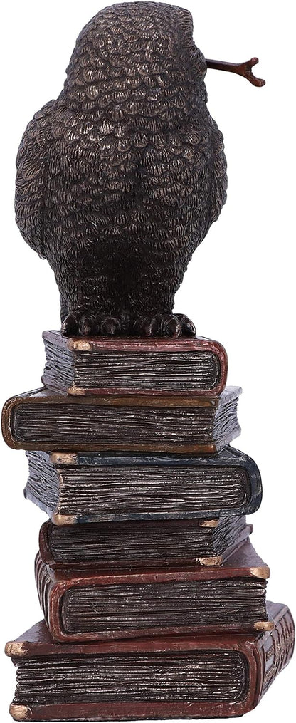 Nemesis Now Bronze Spellcraft Witches Familiar Owl on Book Figurine, 14cm