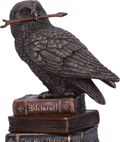 Nemesis Now Bronze Spellcraft Witches Familiar Owl on Book Figurine, 14cm