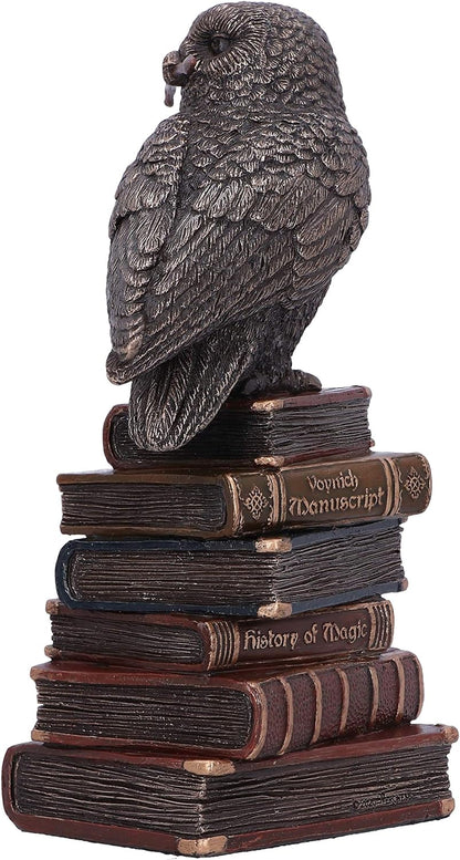Nemesis Now Bronze Spellcraft Witches Familiar Owl on Book Figurine, 14cm