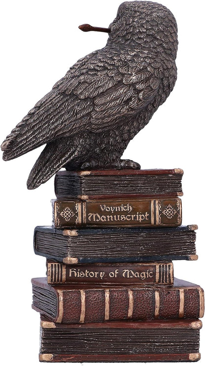 Nemesis Now Bronze Spellcraft Witches Familiar Owl on Book Figurine, 14cm
