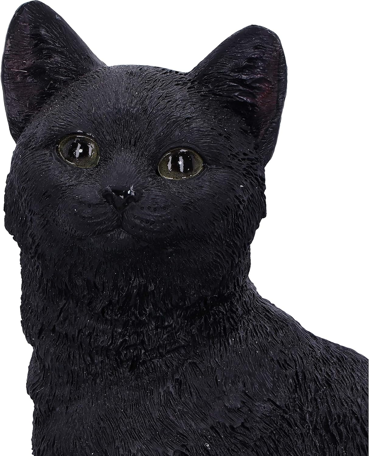 Nemesis Now Familiar Fate 24.3cm Black Witches Cat and Skull Figurine