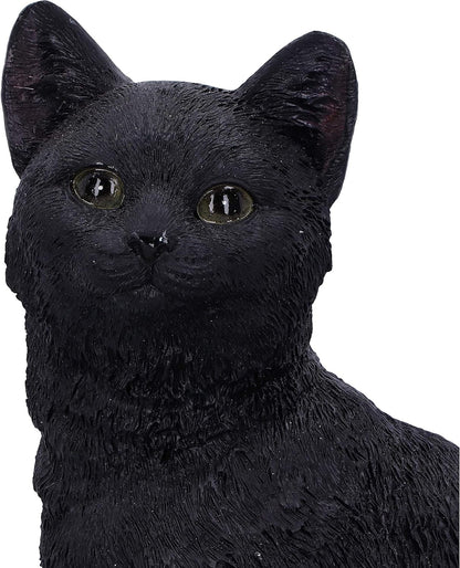 Nemesis Now Familiar Fate 24.3cm Black Witches Cat and Skull Figurine