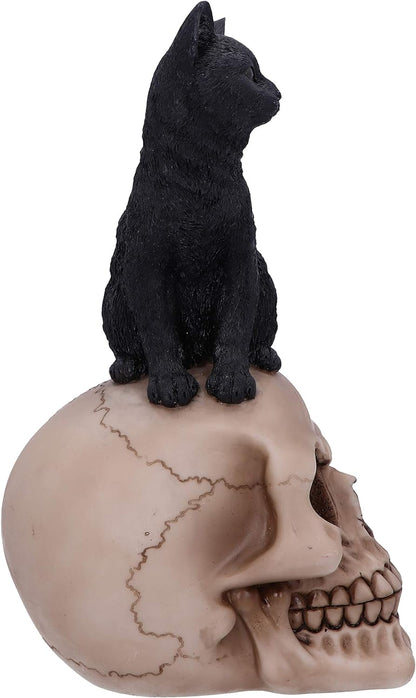 Nemesis Now Familiar Fate 24.3cm Black Witches Cat and Skull Figurine