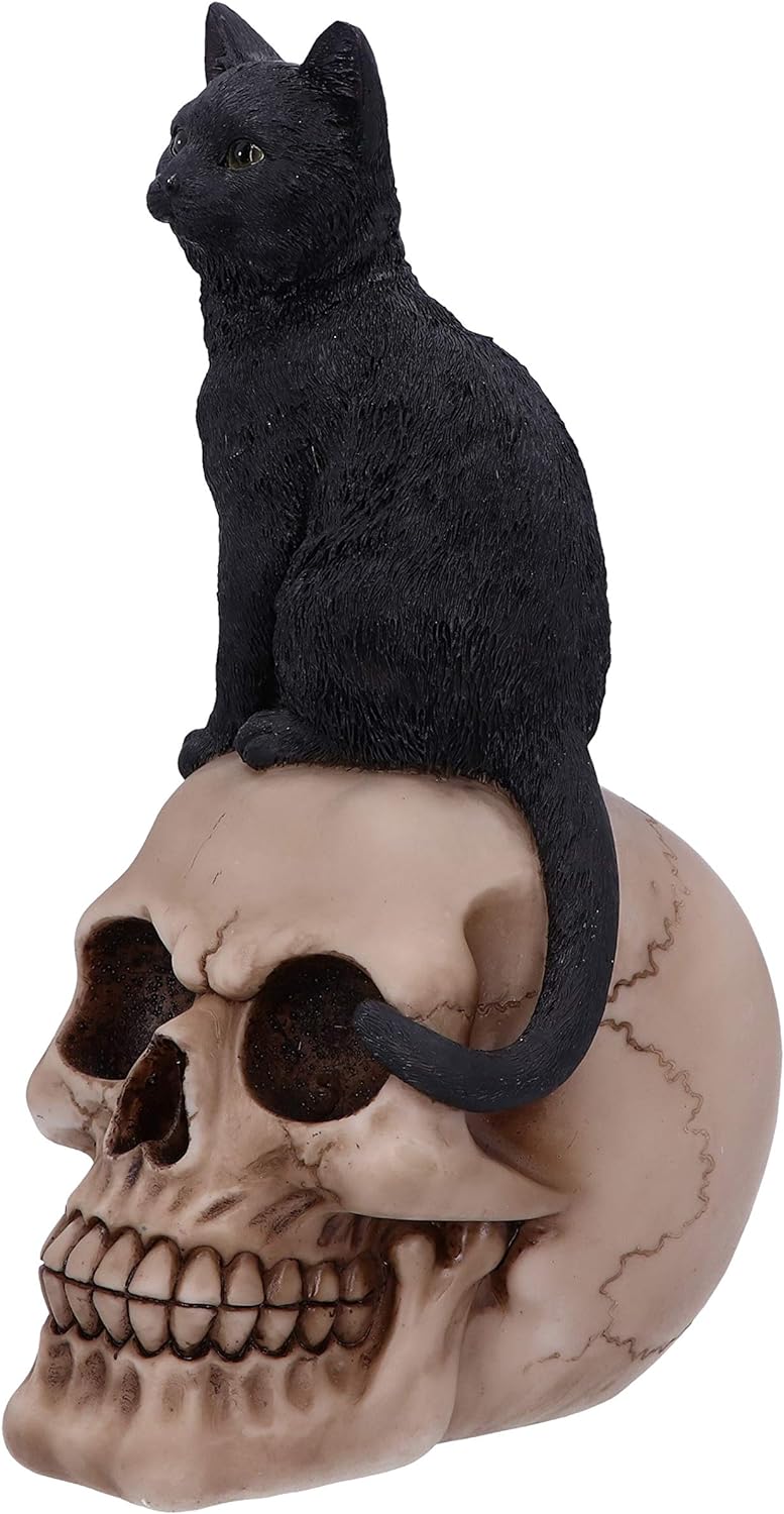 Nemesis Now Familiar Fate 24.3cm Black Witches Cat and Skull Figurine