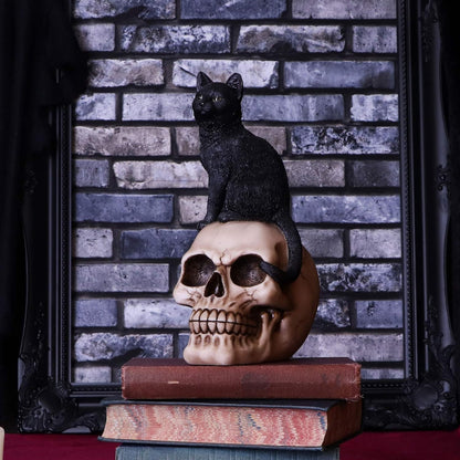 Nemesis Now Familiar Fate 24.3cm Black Witches Cat and Skull Figurine