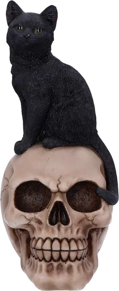Nemesis Now Familiar Fate 24.3cm Black Witches Cat and Skull Figurine