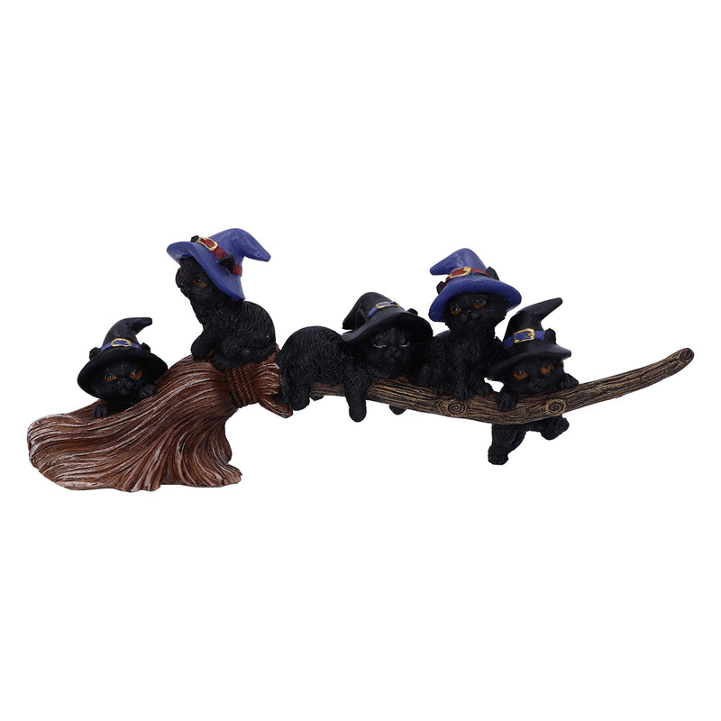 Nemesis Now Purrfect Witches Familiar Black Cats and Broomstick Figurine Figura de Gato Coven Keepers, Resina, Negro, 27.5cm