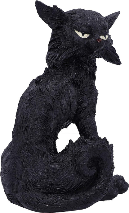 Nemesis Now Small Black Cat Witches Familiar Figure Salem, 19.6cm, D5526T1 19.6cm Black