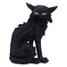 Nemesis Now Small Black Cat Witches Familiar Figure Salem, 19.6cm, D5526T1 19.6cm Black