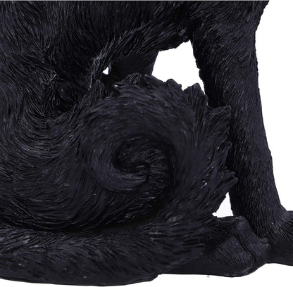 Nemesis Now Small Black Cat Witches Familiar Figure Salem, 19.6cm, D5526T1 19.6cm Black
