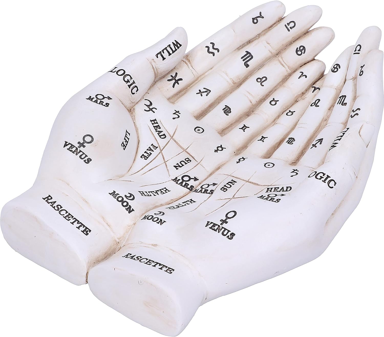 Nemesis Now Palmist's Guide White Chiromancy Hands Candle Holder, 22..3cm