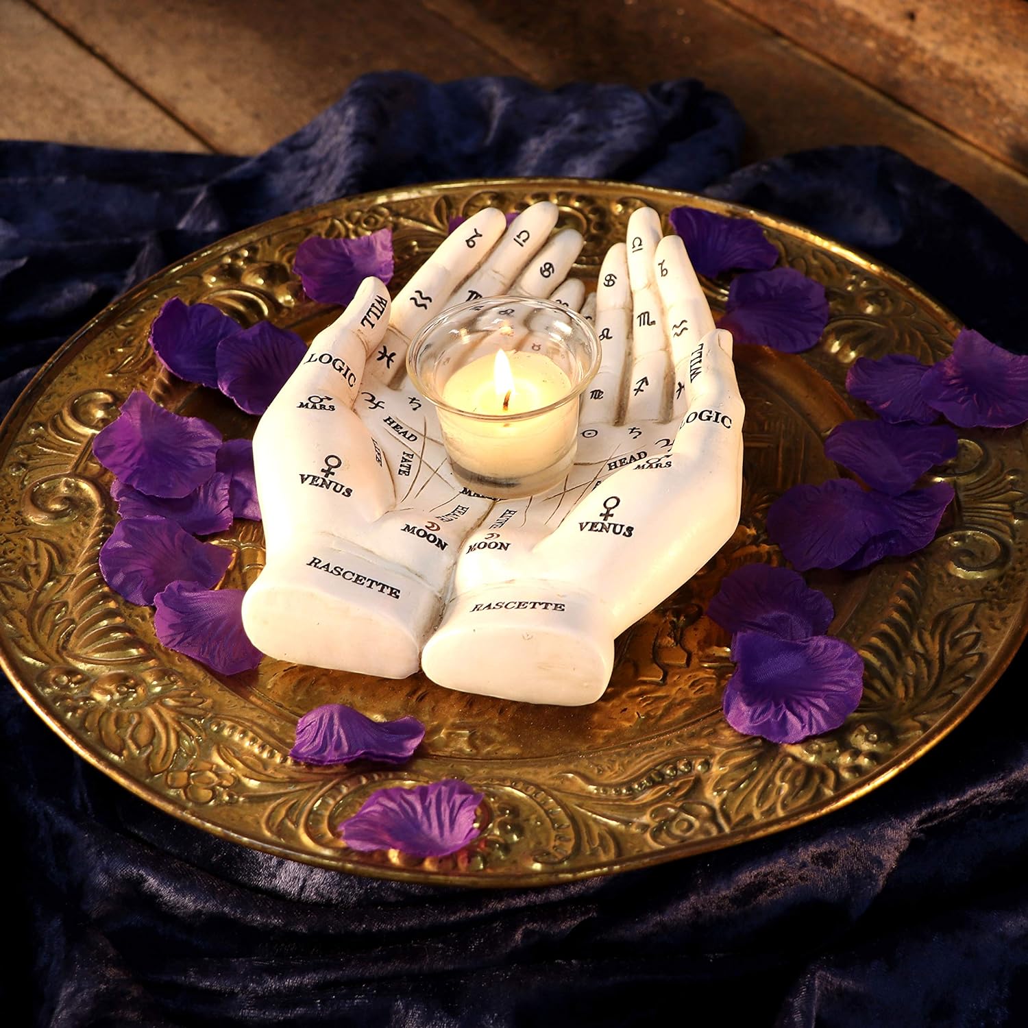 Nemesis Now Palmist's Guide White Chiromancy Hands Candle Holder, 22..3cm