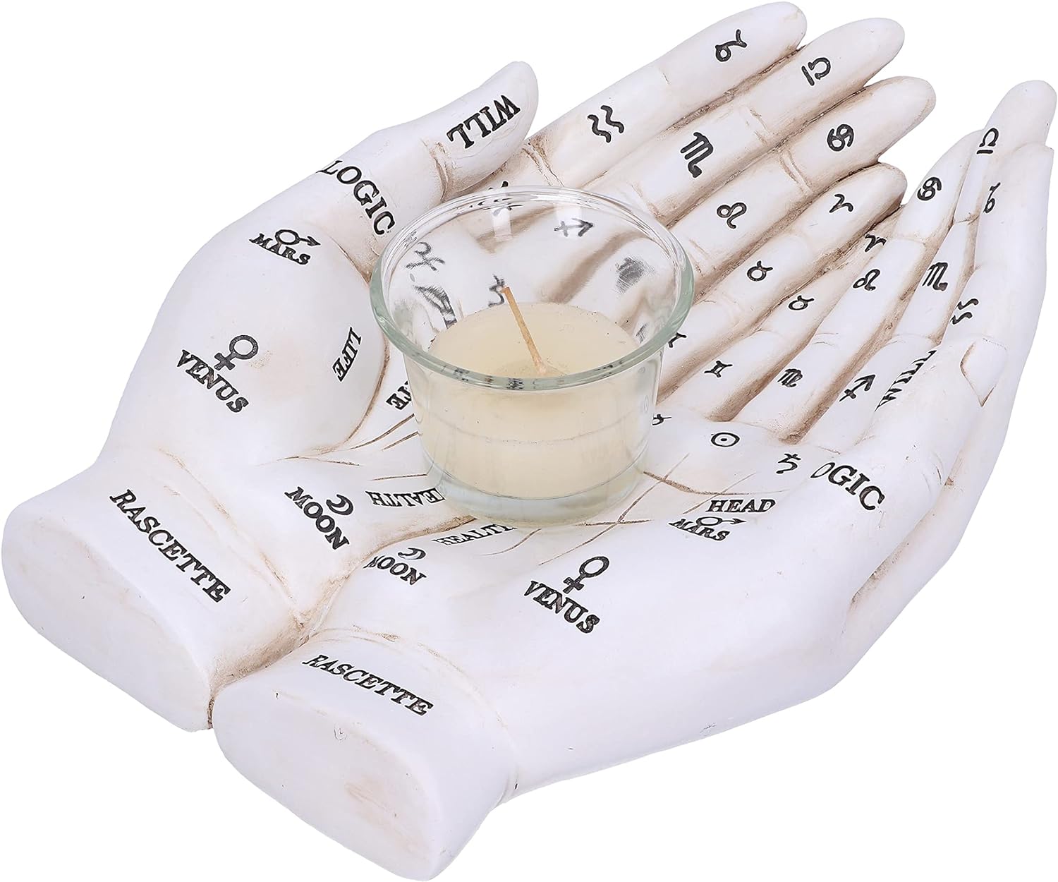 Nemesis Now Palmist's Guide White Chiromancy Hands Candle Holder, 22..3cm