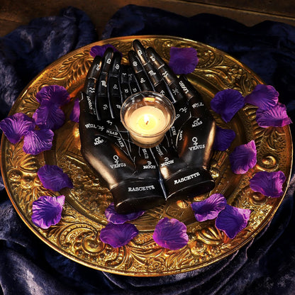 Nemesis Now Palmist's Guide Black Chiromancy Hands Candle Holder, 22.3cm