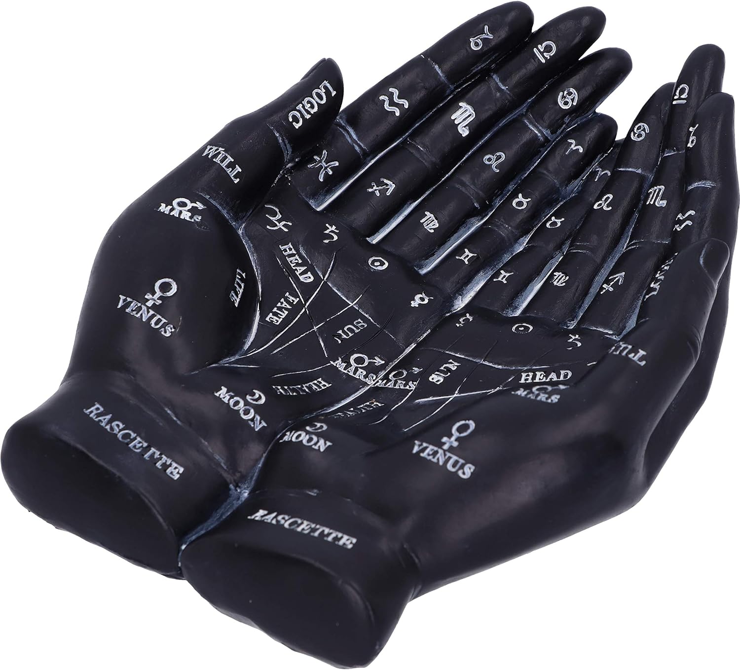 Nemesis Now Palmist's Guide Black Chiromancy Hands Candle Holder, 22.3cm