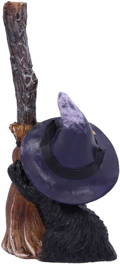 Nemesis Now Familiars Broom 11.5cm, Black