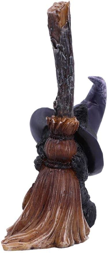Nemesis Now Familiars Broom 11.5cm, Black
