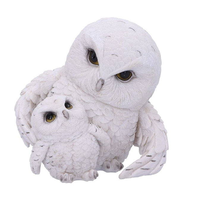 Nemesis Now Feathered Guide Owl Figurine 13.5cm, White