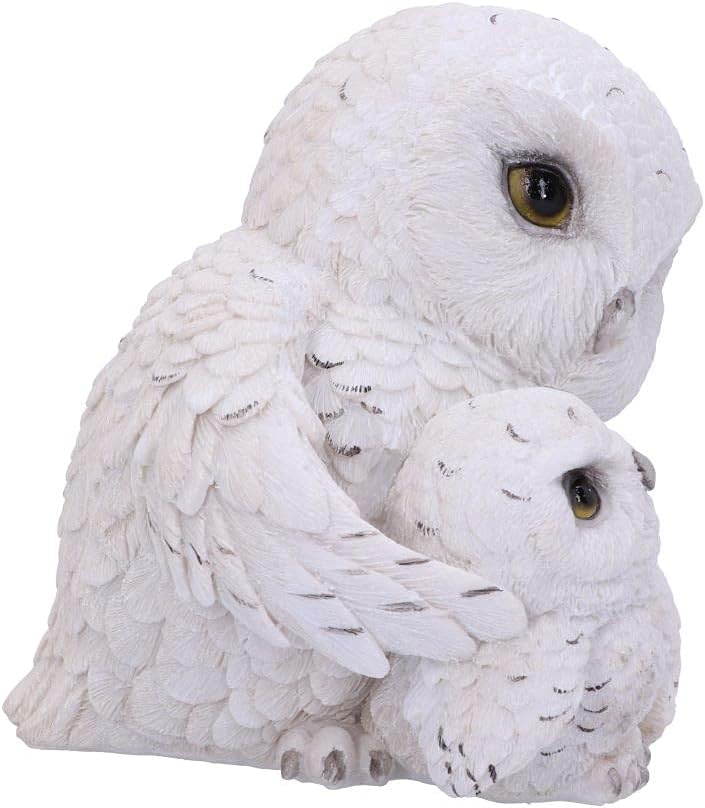 Nemesis Now Feathered Guide Owl Figurine 13.5cm, White