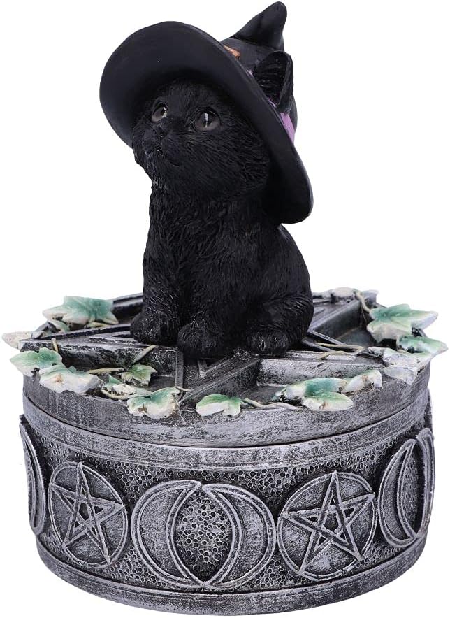 Nemesis Now Ivy Familiar Box Cat Figurine 15cm, Resin, Black
